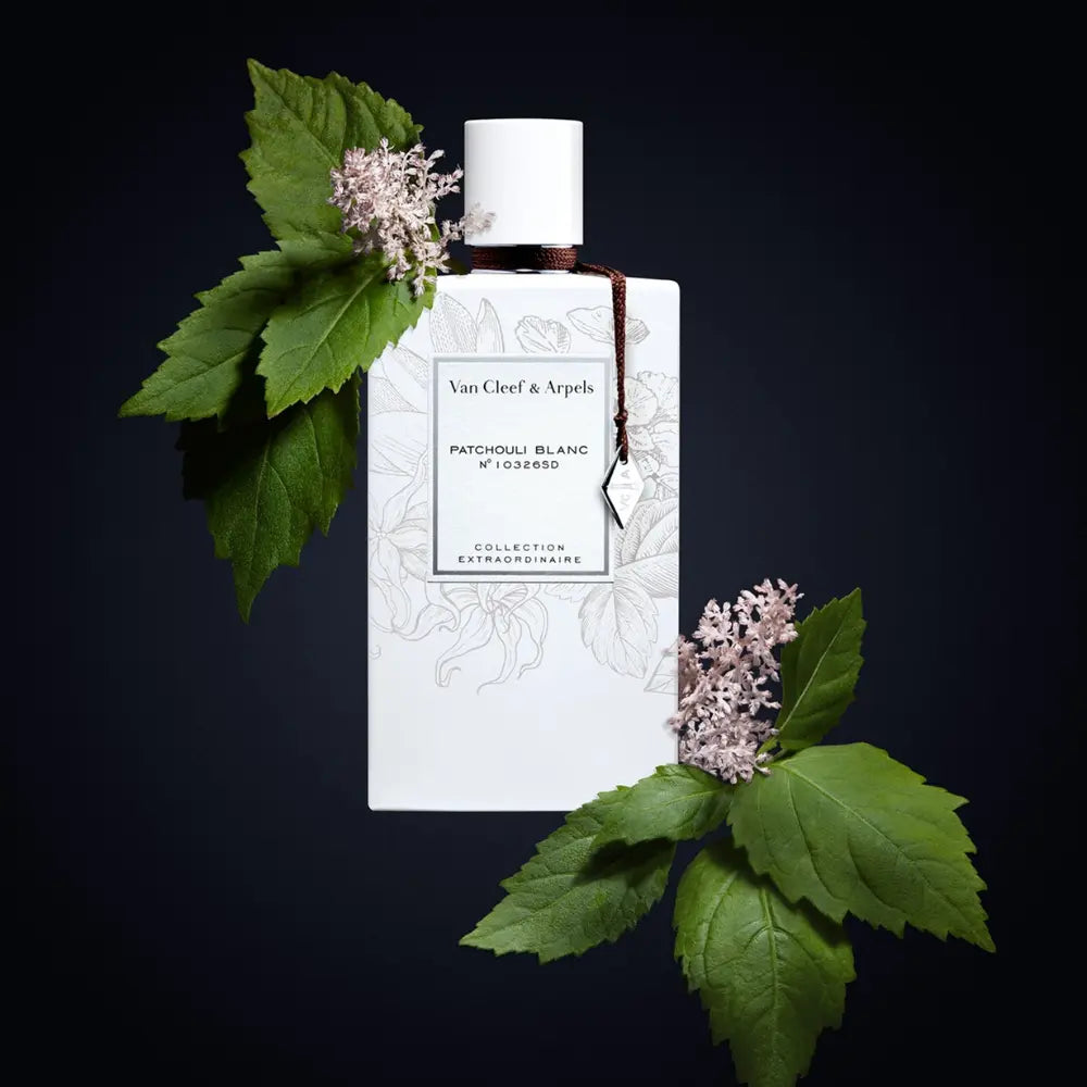 Van Cleef Arpels Collection Extraordinaire Patchouli Blanc EDP